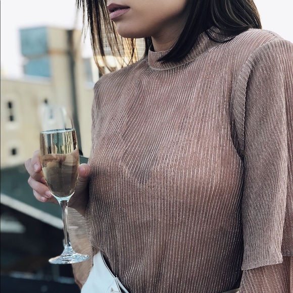 🆕Mara Sheer Rose Gold Bell Sleeve Top - Picture 3 of 8